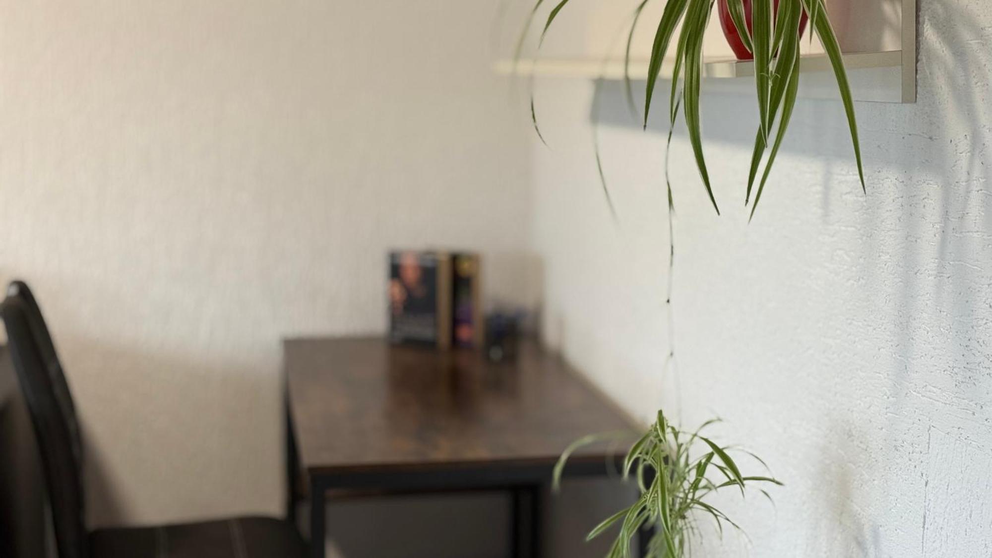 Gemuetliche 2 Zimmer Wohnung Bad Hersfeld Exteriér fotografie